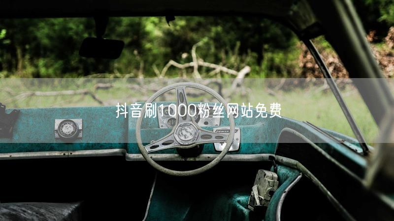 揭秘免费刷粉陷阱，分享抖音合法增粉技巧