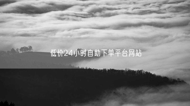 低价24小时自助下单平台网站
