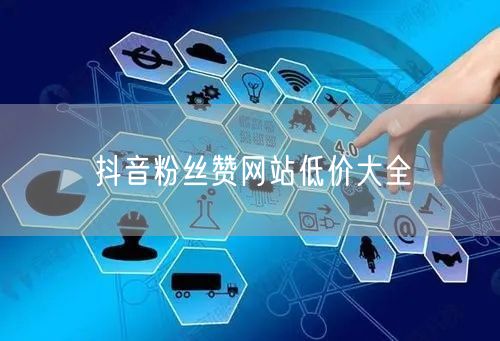 抖音粉丝赞网站低价大全