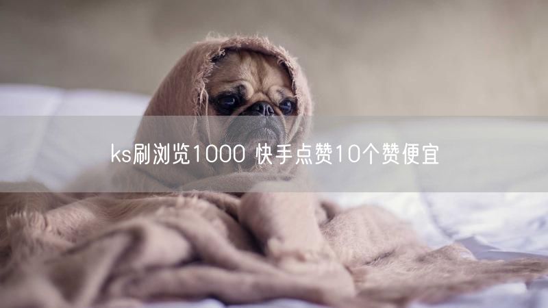 ks刷浏览1000 快手点赞10个赞便宜