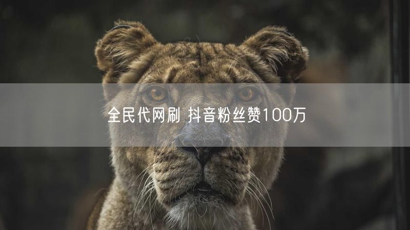 全民代网刷 抖音粉丝赞100万