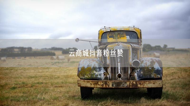 云商城抖音粉丝赞