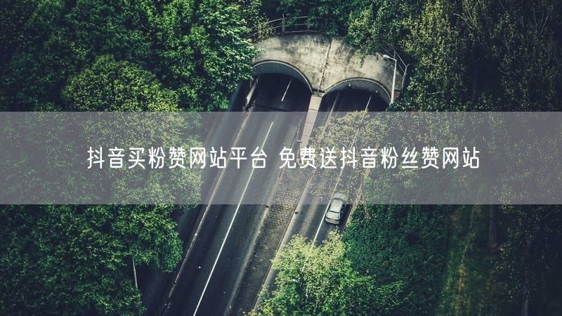 抖音买粉赞网站平台 免费送抖音粉丝赞网站