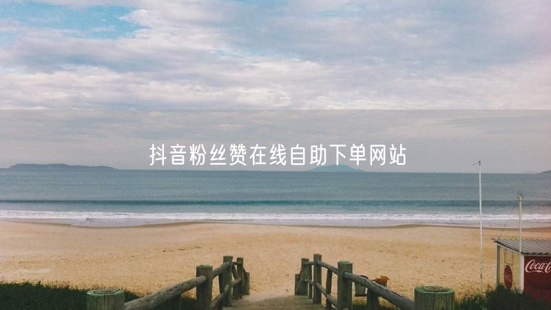 抖音粉丝赞在线自助下单网站