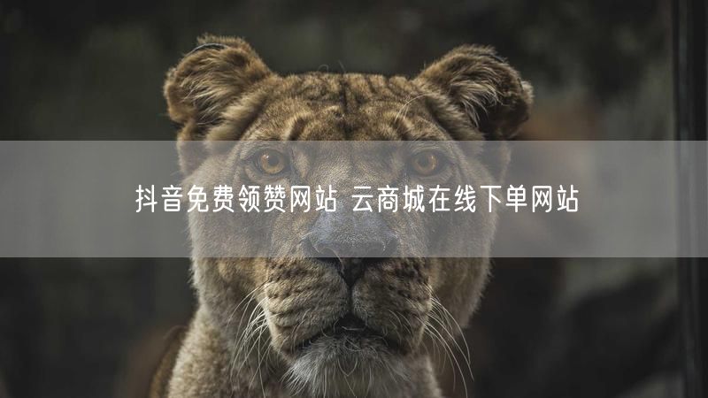 抖音免费领赞网站 云商城在线下单网站