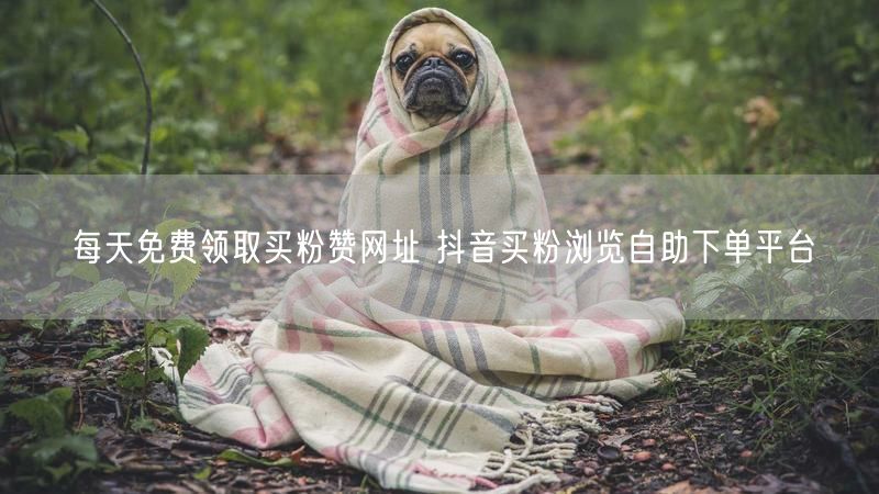 每天免费领取买粉赞网址 抖音买粉浏览自助下单平台