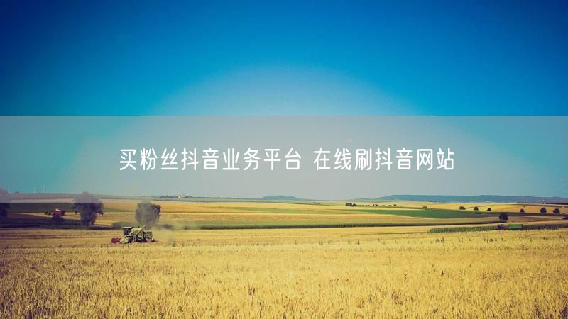 买粉丝抖音业务平台 在线刷抖音网站