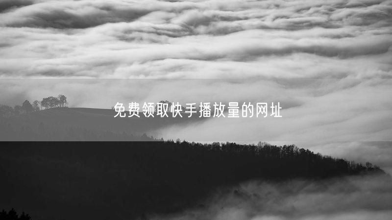 免费领取快手播放量的网址