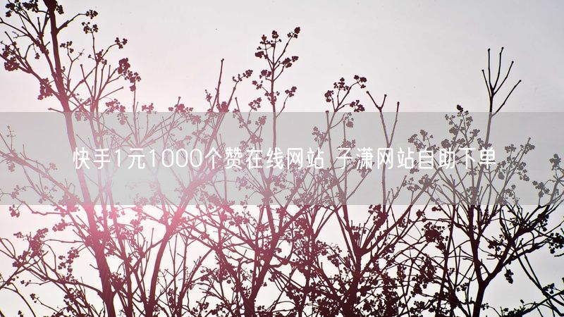 快手1元1000个赞在线网站 子潇网站自助下单