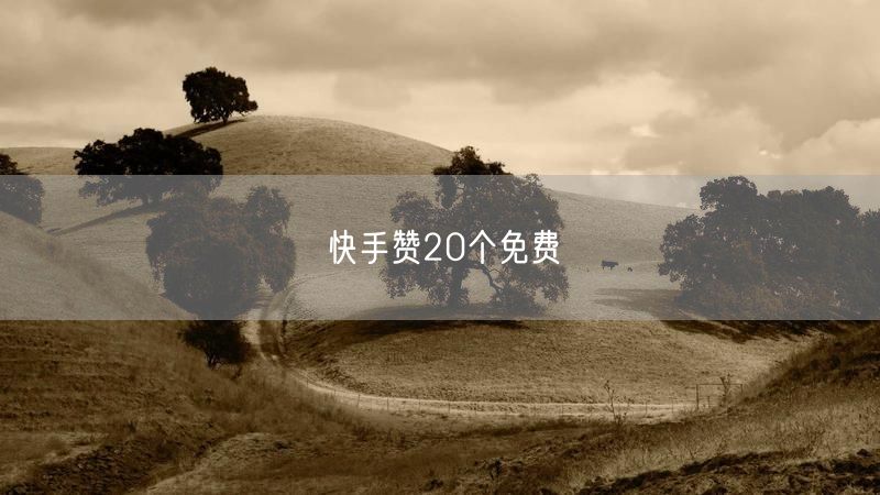 快手赞20个免费