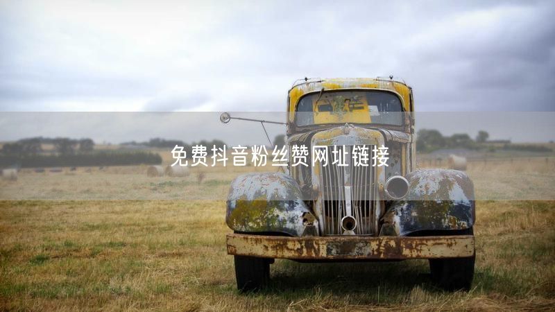 免费抖音粉丝赞网址链接