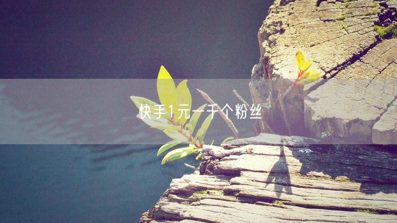 快手1元一千个粉丝
