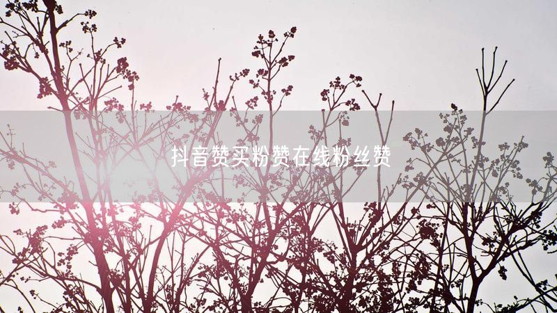 抖音赞买粉赞在线粉丝赞