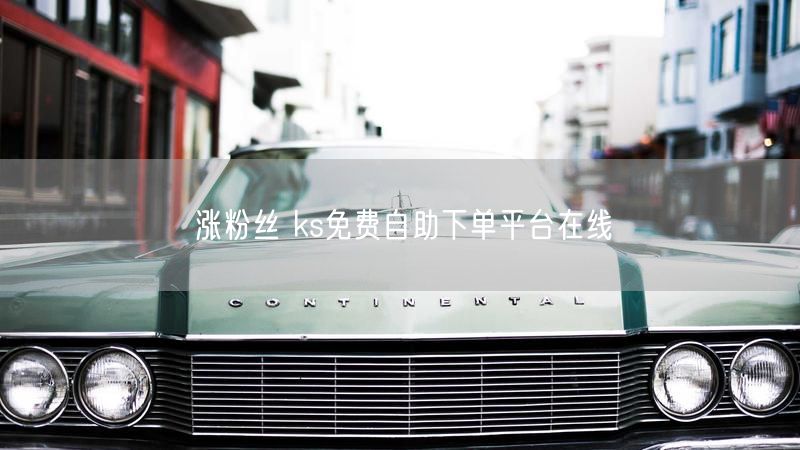 涨粉丝 ks免费自助下单平台在线