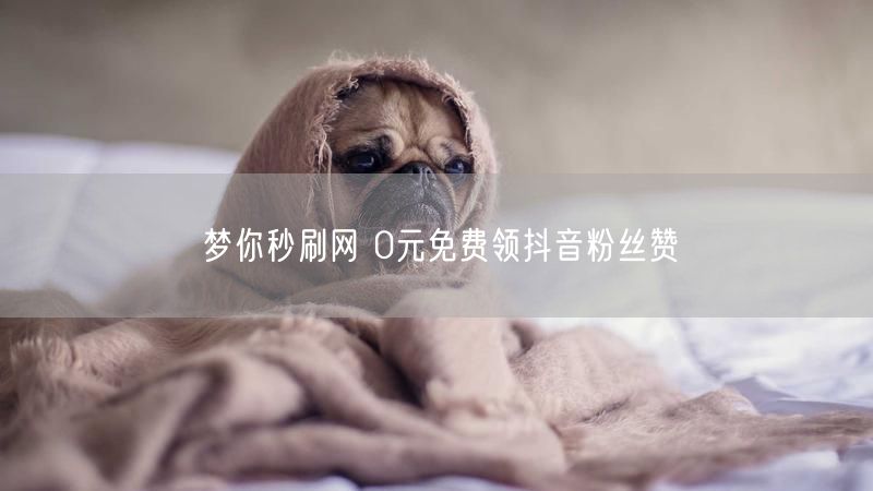 梦你秒刷网 0元免费领抖音粉丝赞