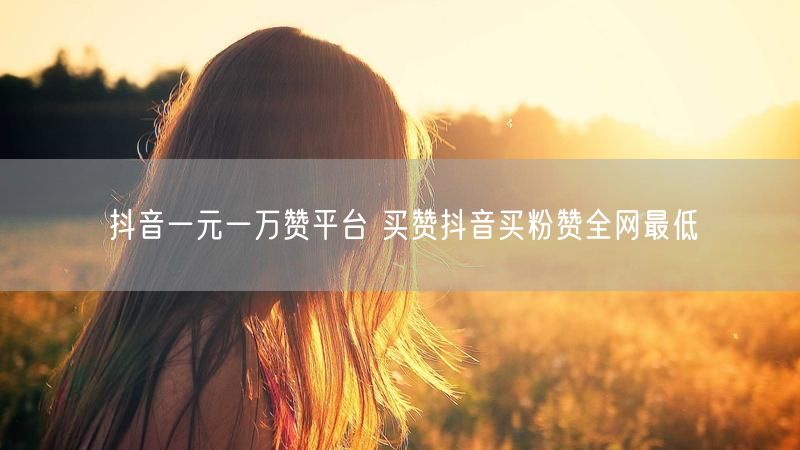 抖音一元一万赞平台 买赞抖音买粉赞全网最低