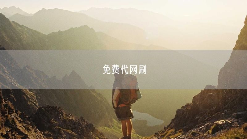 免费代网刷