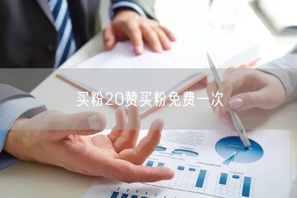 买粉20赞买粉免费一次