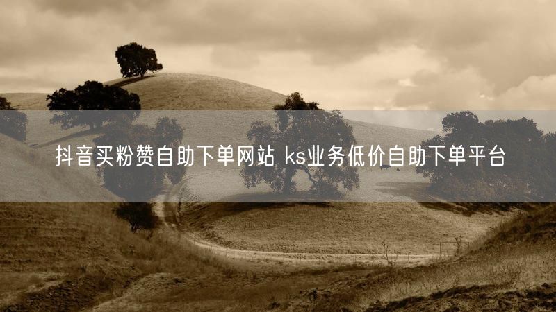 抖音买粉赞自助下单网站 ks业务低价自助下单平台