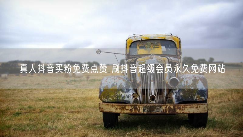 真人抖音买粉免费点赞 刷抖音超级会员永久免费网站