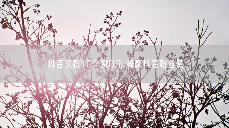 抖音买粉10个赞0元 梓豪抖音粉丝赞