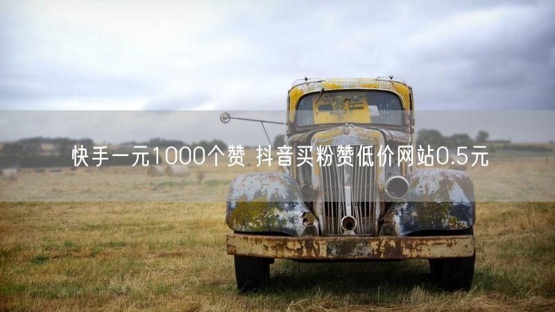快手一元1000个赞 抖音买粉赞低价网站0.5元