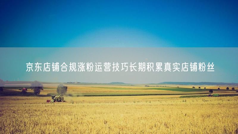 京东店铺合规涨粉运营技巧长期积累真实店铺粉丝