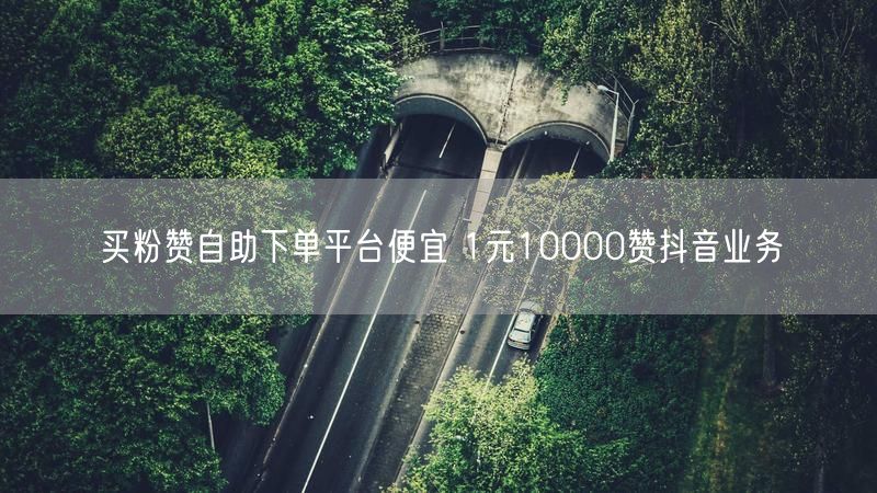 买粉赞自助下单平台便宜 1元10000赞抖音业务