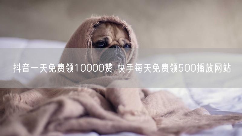 抖音一天免费领10000赞 快手每天免费领500播放网站