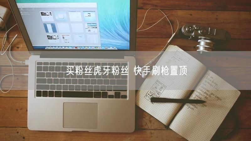 买粉丝虎牙粉丝 快手刷枪置顶