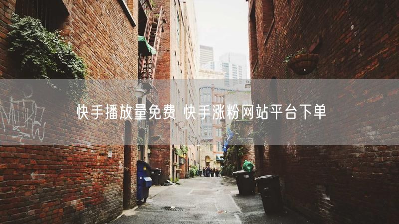 快手播放量免费 快手涨粉网站平台下单
