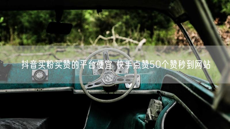 抖音买粉买赞的平台便宜 快手点赞50个赞秒到网站