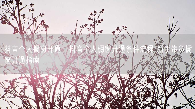 抖音个人橱窗开通｜抖音个人橱窗开通条件流程 新手带货橱窗开通指南